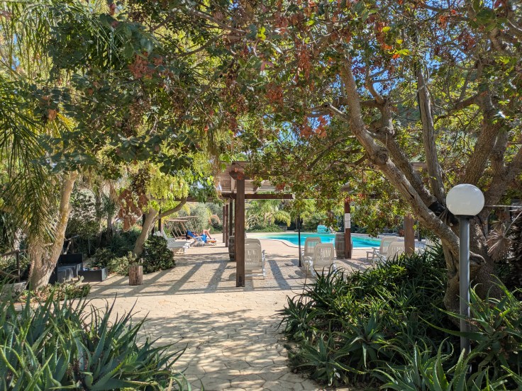 View of a pool area surrounded by lush greenery and trees, with lounge chairs positioned nearby and sunlight filtering through the foliage.